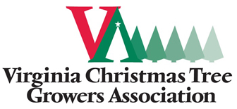 virginia christmas tree growers association virginia christmas tree growers association