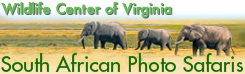2010 South African Safaris