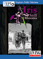 The Iris Still Blooms DVD